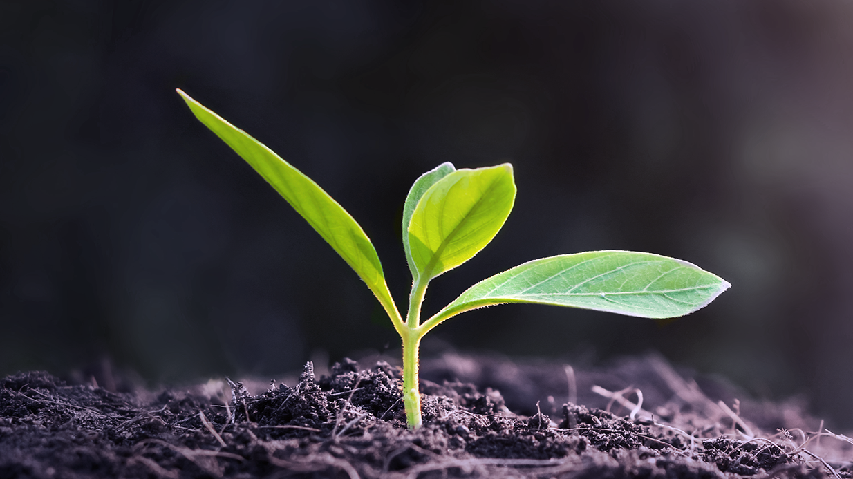 Nachhaltigkeit bei KESSEL Nachhaltigkeit bei KESSEL